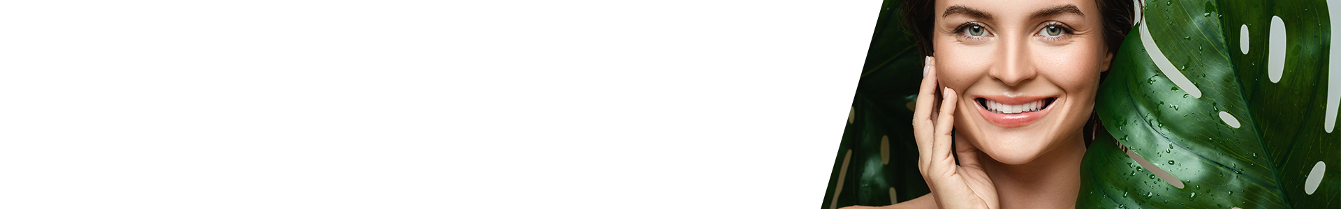 collection-banner-image