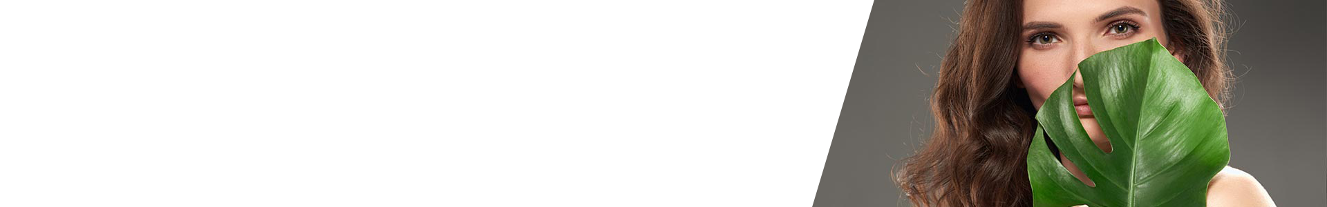 collection-banner-image