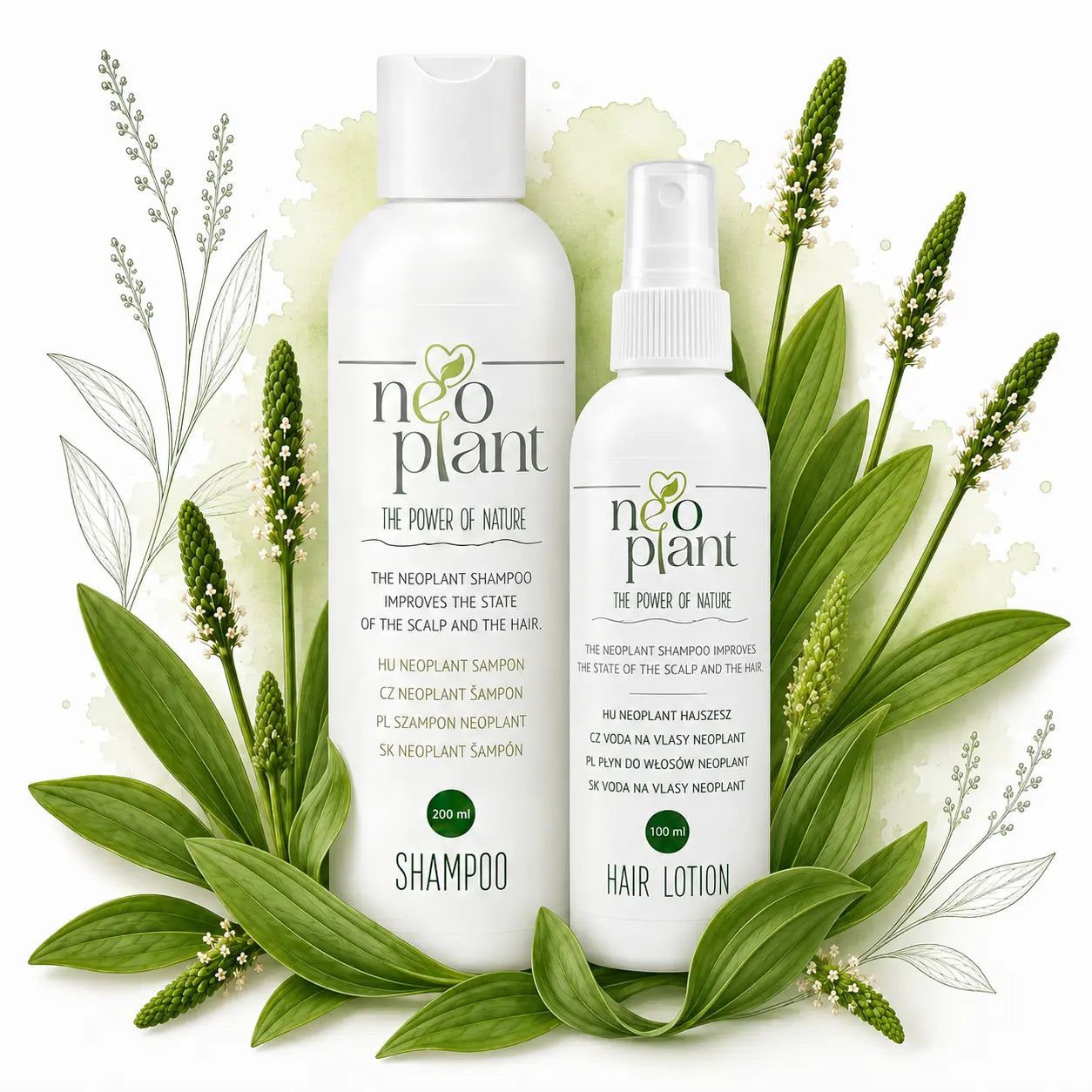 Neoplant natúr hajápoló csomag: 200 ml sampon és 100 ml hajszesz Plantago Lanceolata levelekkel körülvéve