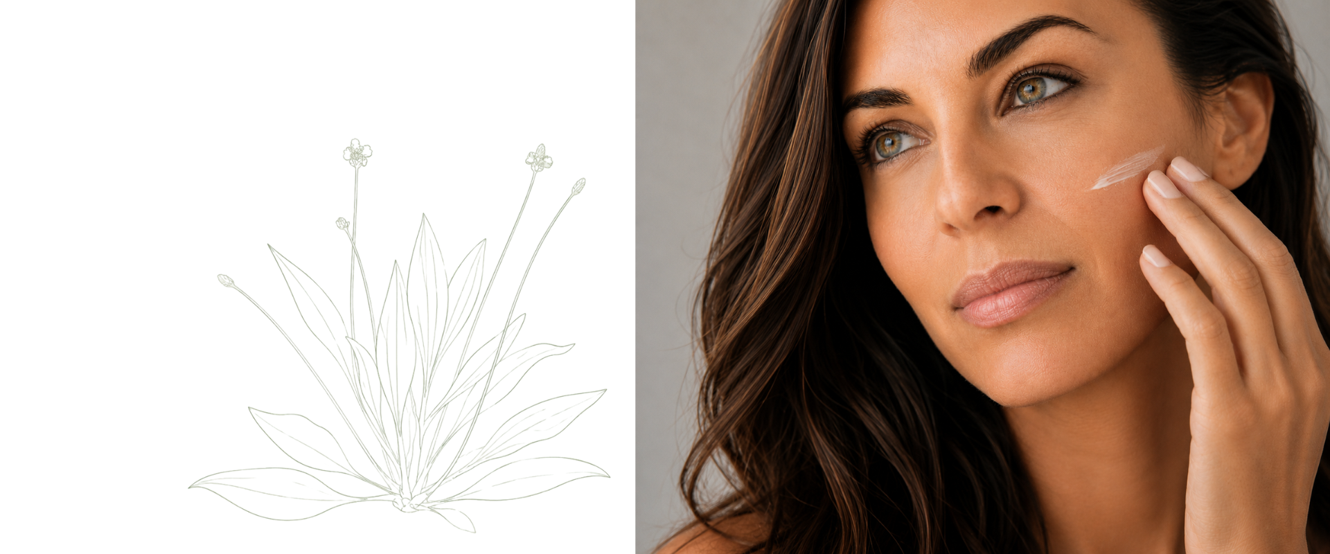 Elegant woman applying natural face cream with minimalist Plantago lanceolata botanical illustration, representing premium Hungarian natural skincare by Neoplant.slider_item_6drmf3